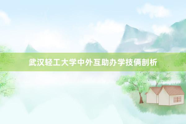 武汉轻工大学中外互助办学技俩剖析