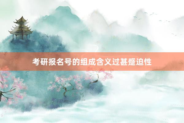 考研报名号的组成含义过甚蹙迫性